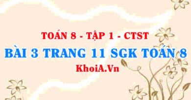 Bài 3 trang 11 SGK Toán 8 Tập 1 Chân trời sáng tạo